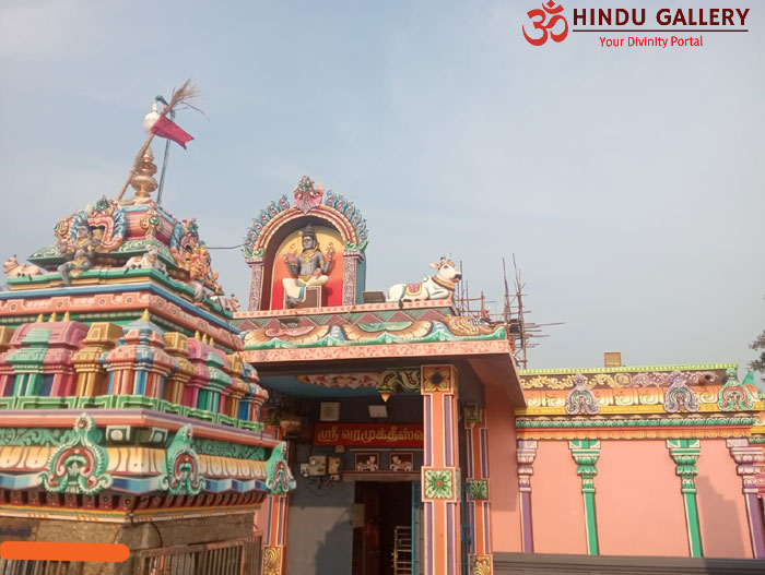 Eruma Vetti Palayam