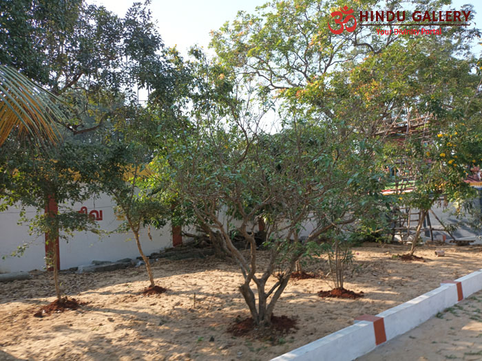 Thiruppalaivanam