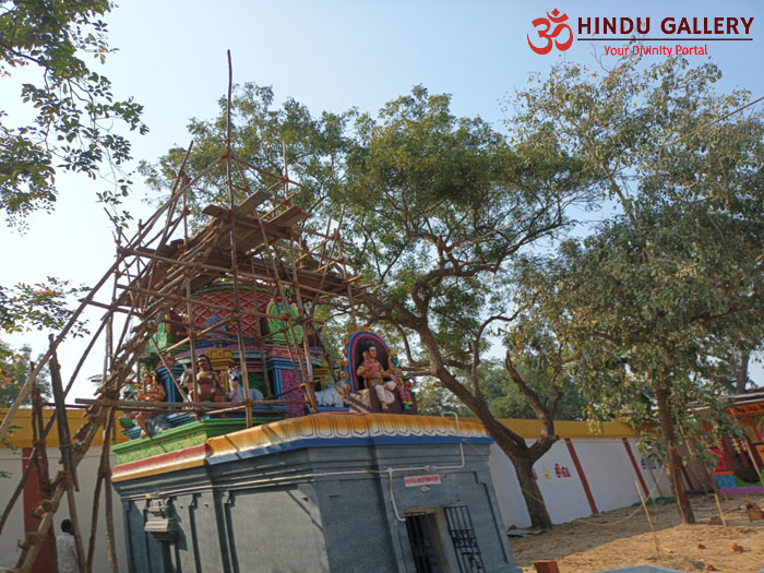 Thiruppalaivanam