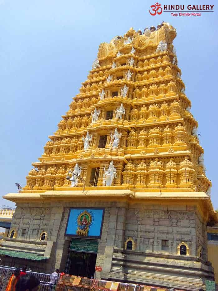 Vishwavasu