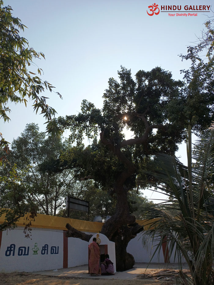 Thiruppalaivanam